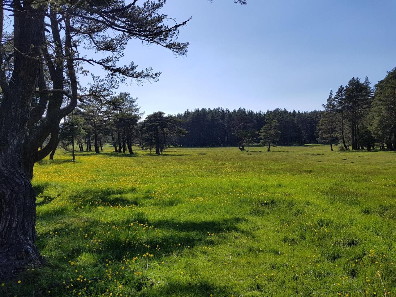 Bolu Adya Hotel Kültér fotó