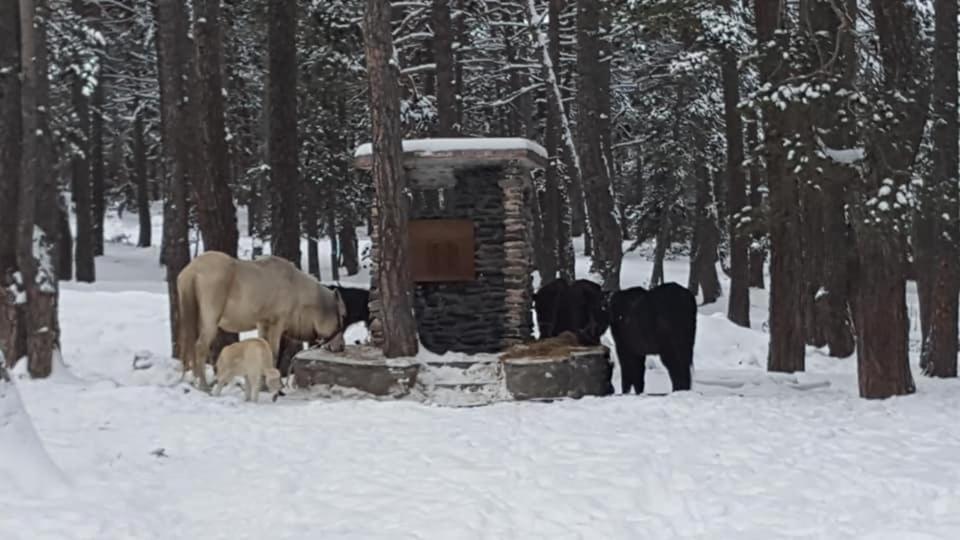 Bolu Adya Hotel Kültér fotó