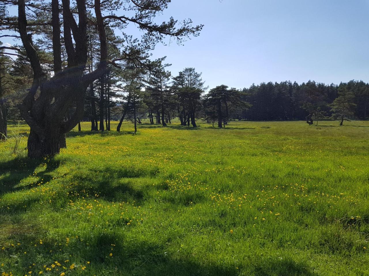 Bolu Adya Hotel Kültér fotó
